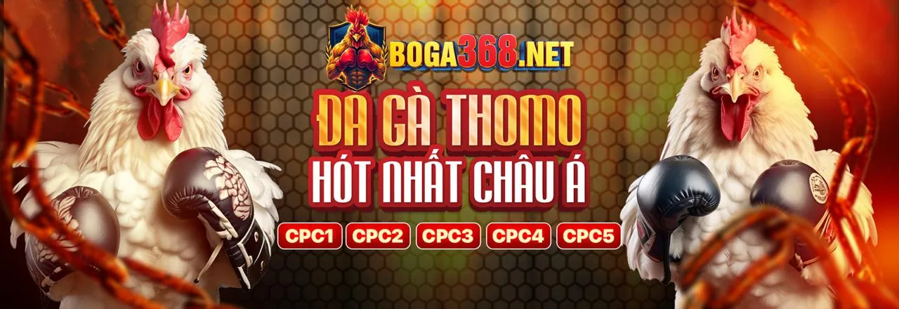 Trận đá gà kịch tính tại W88club Win