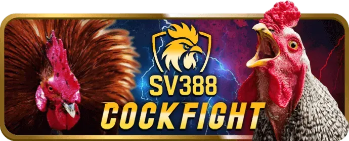 Lý do chọn w88club win